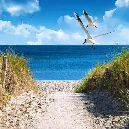 Nordic Wellness Fuer 6 Personen *
